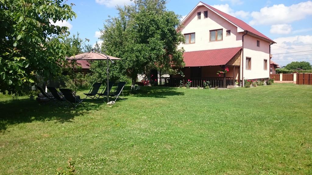 Pensiunea Balea Sat Cîrţişoara Exteriör bild