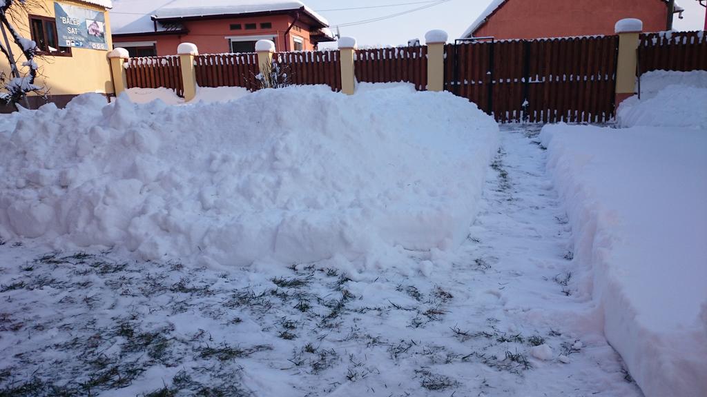 Pensiunea Balea Sat Cîrţişoara Exteriör bild