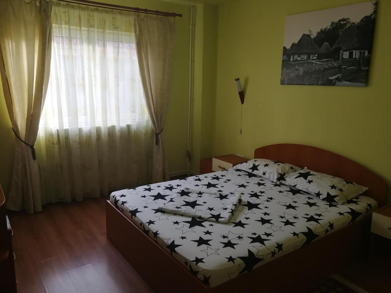 Pensiunea Balea Sat Cîrţişoara Exteriör bild