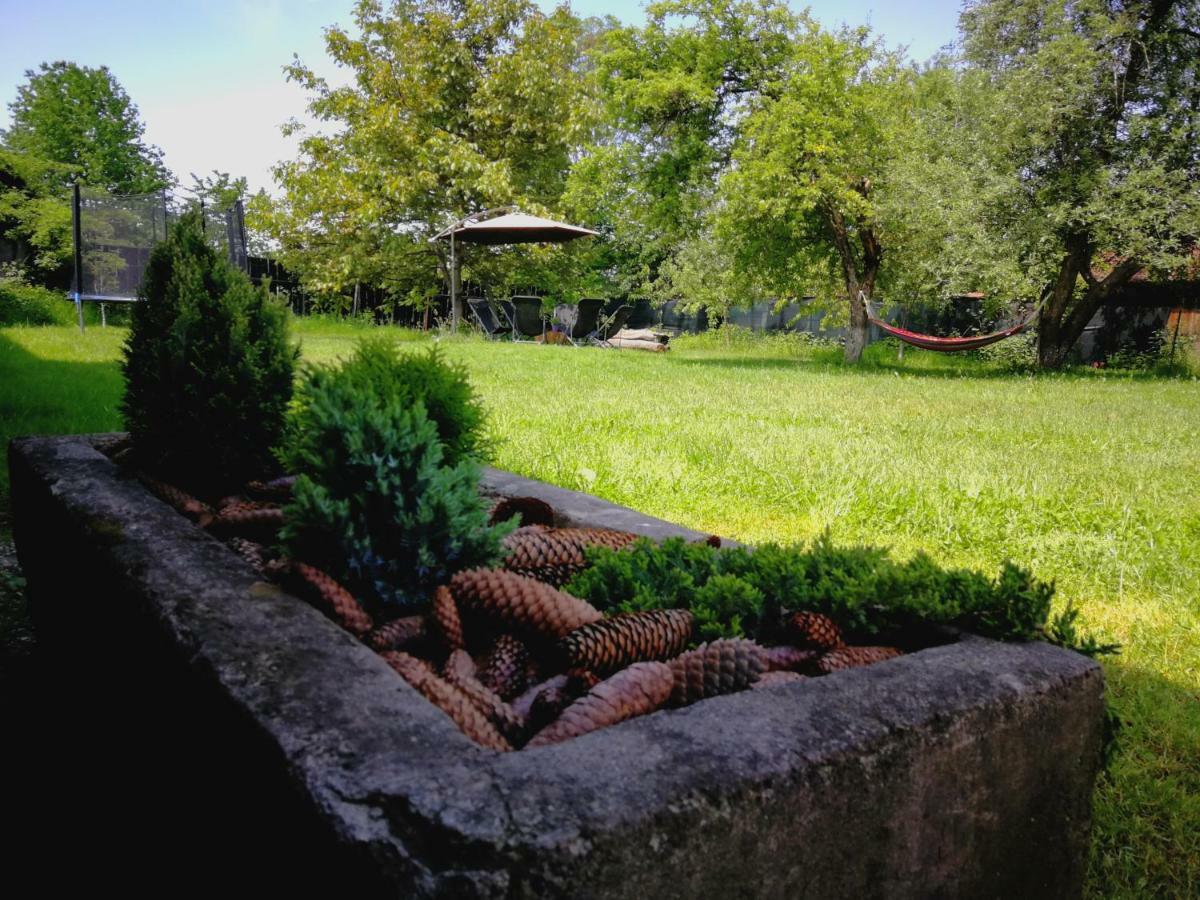 Pensiunea Balea Sat Cîrţişoara Exteriör bild